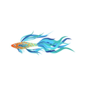 Parrotfish Streamer